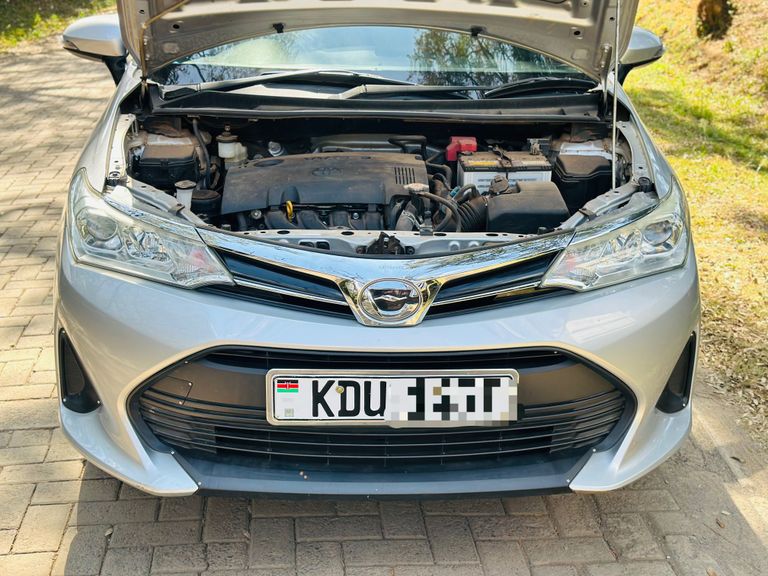 2018 Toyota Axio thumbnail 5