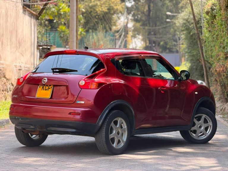 2010 Nissan Juke thumbnail 4