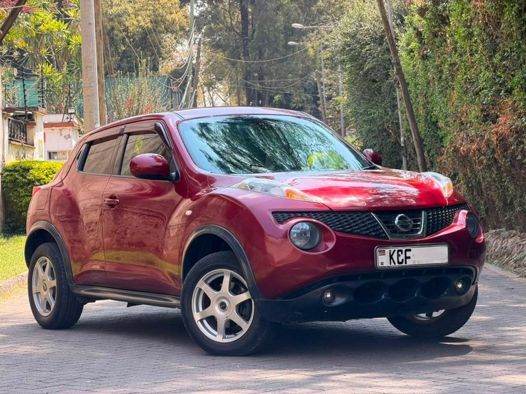 2010 Nissan Juke thumbnail 1