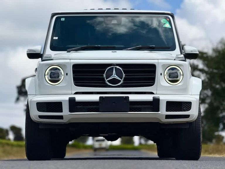 2019 Mercedes-Benz G-Class thumbnail 1