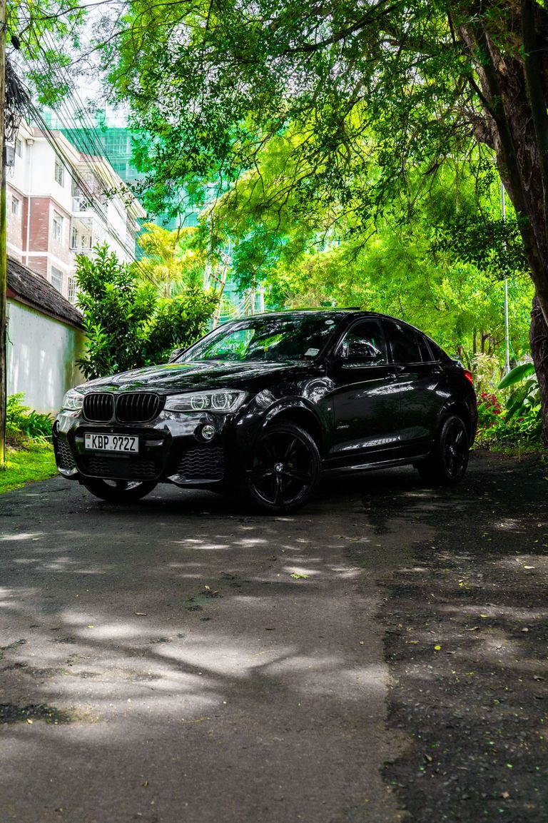 2017 BMW X4 thumbnail 2